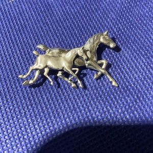 Sterling silver horse pin